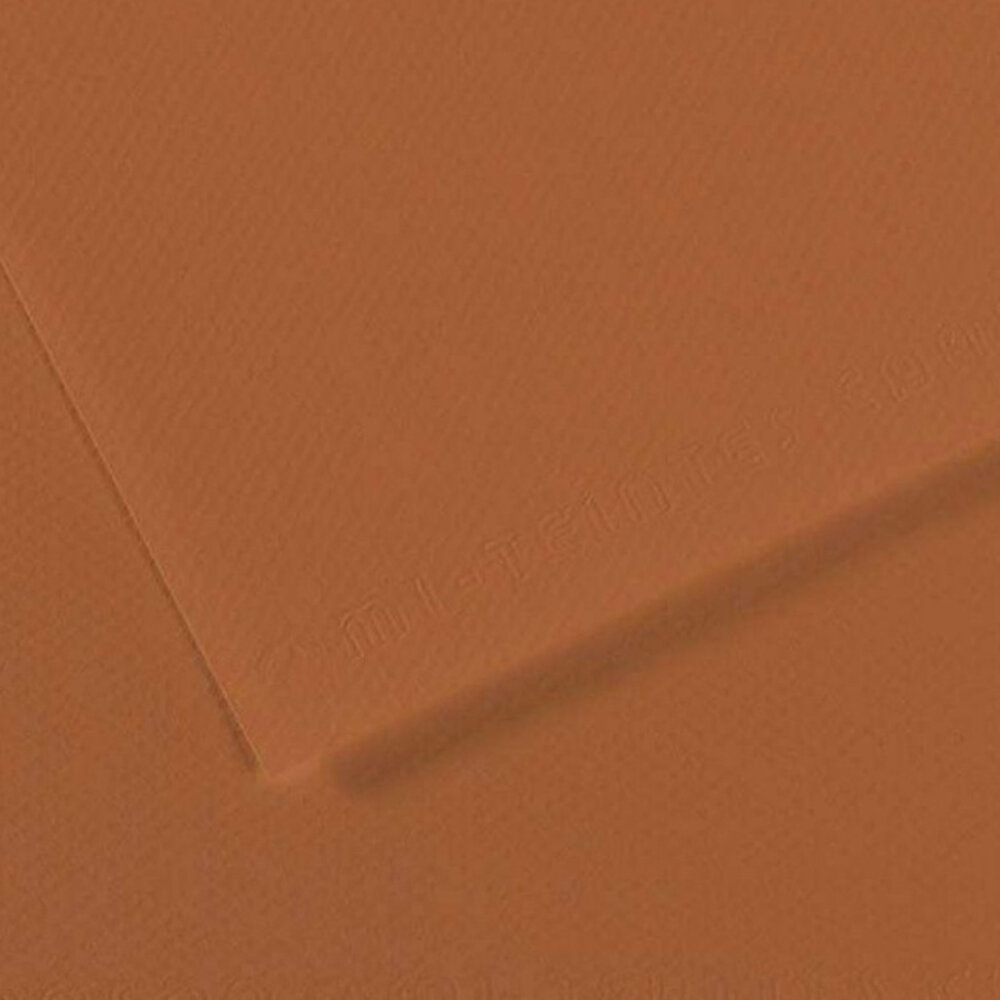 Canson Fon Kartonu (Dokulu) Mı-Teıntes Sh Canmt 50x65 160 GR Brown 187 - 1