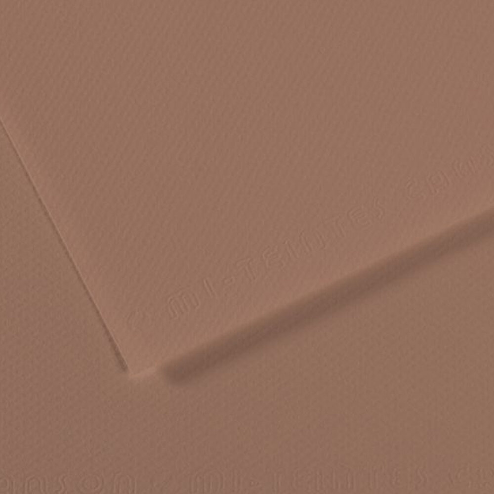Canson Fon Kartonu (Dokulu) Mı-Teıntes Sh Canmt 50x65 160 GR Brown 188 - 1